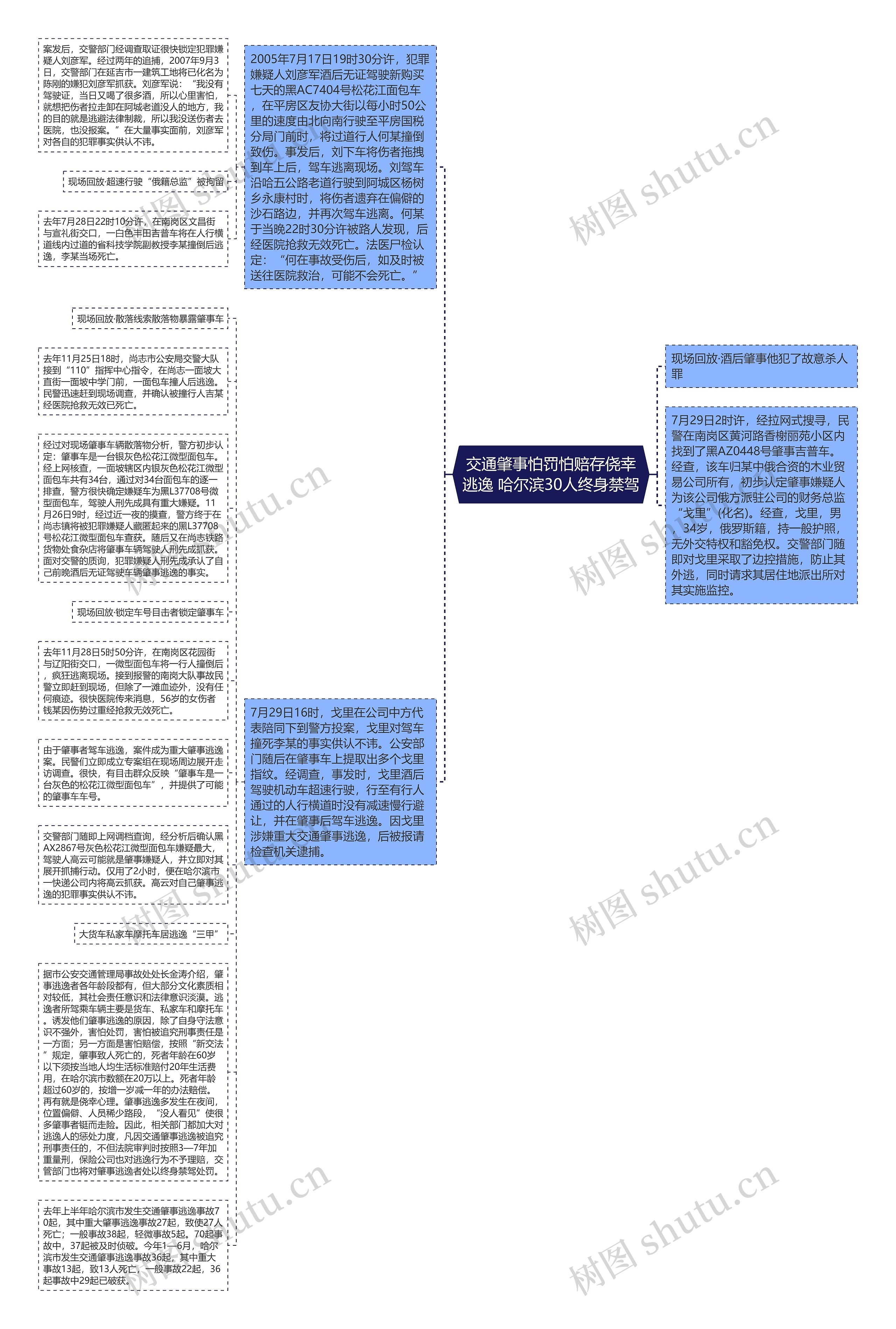 交通肇事怕罚怕赔存侥幸逃逸 哈尔滨30人终身禁驾思维导图