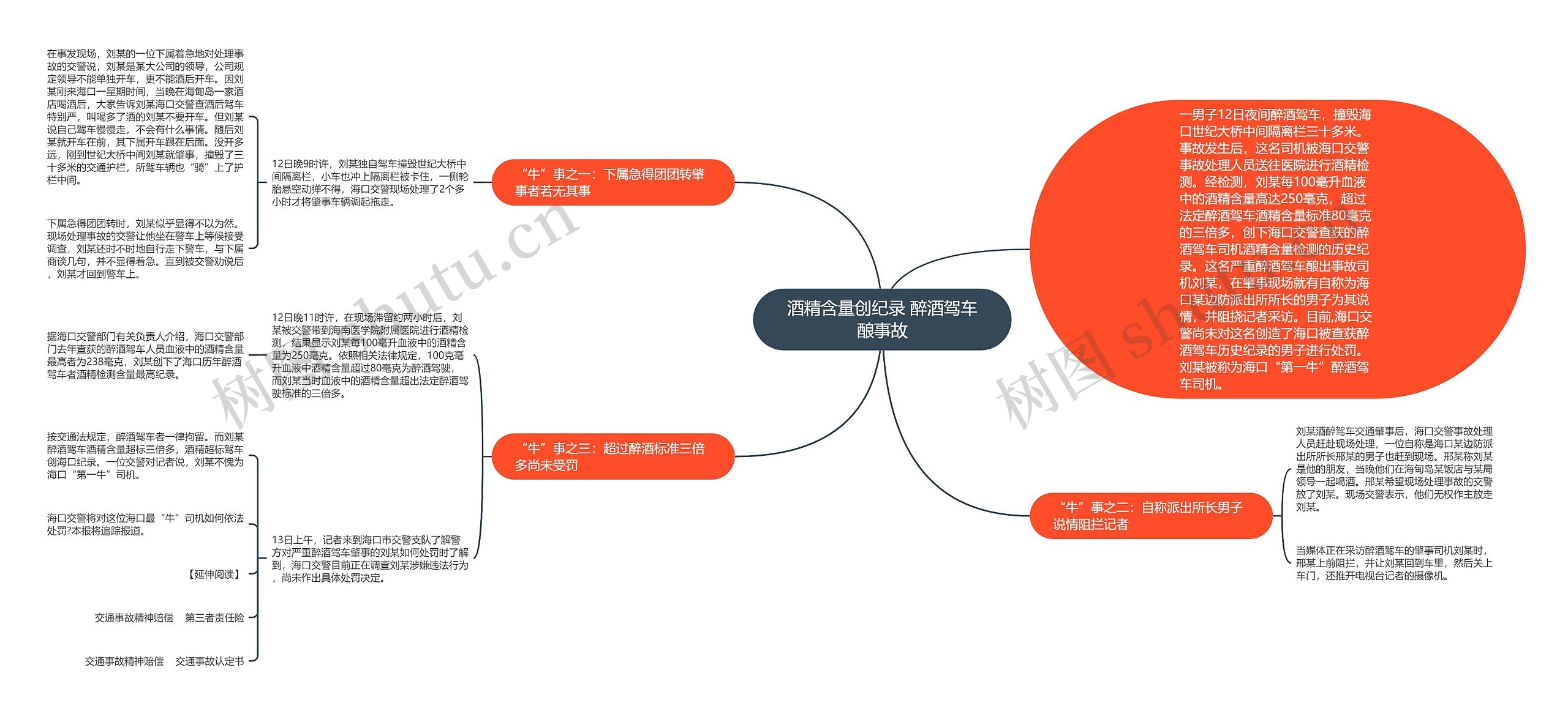 酒精含量创纪录 醉酒驾车酿事故思维导图