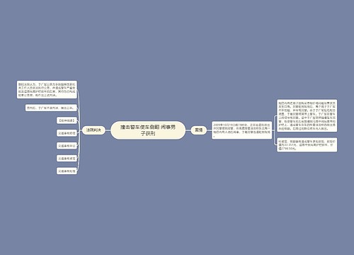 撞击警车使车侧翻 闹事男子获刑