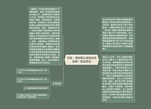 专家：强制第三者险应承担单一赔偿责任