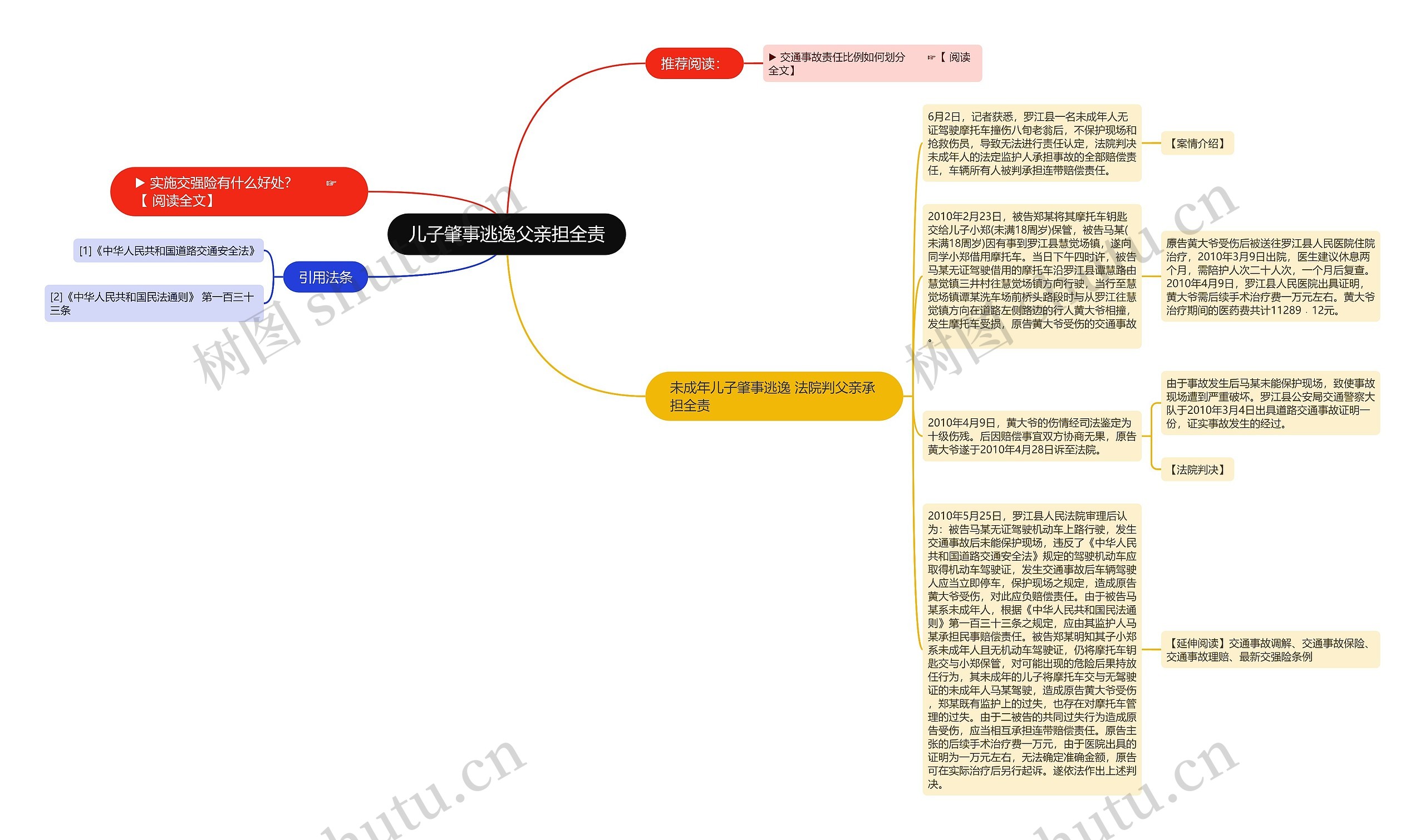 儿子肇事逃逸父亲担全责