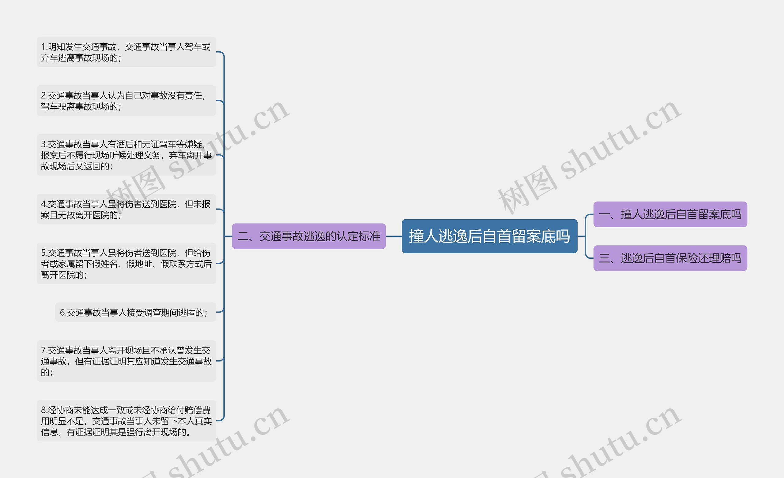 撞人逃逸后自首留案底吗思维导图