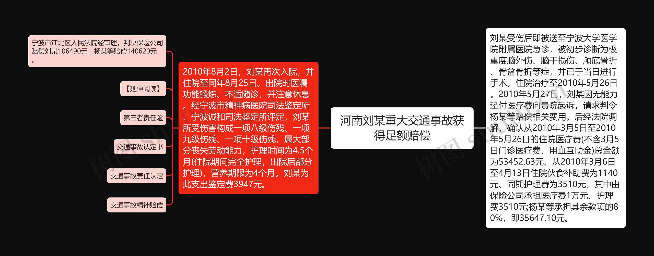 河南刘某重大交通事故获得足额赔偿思维导图