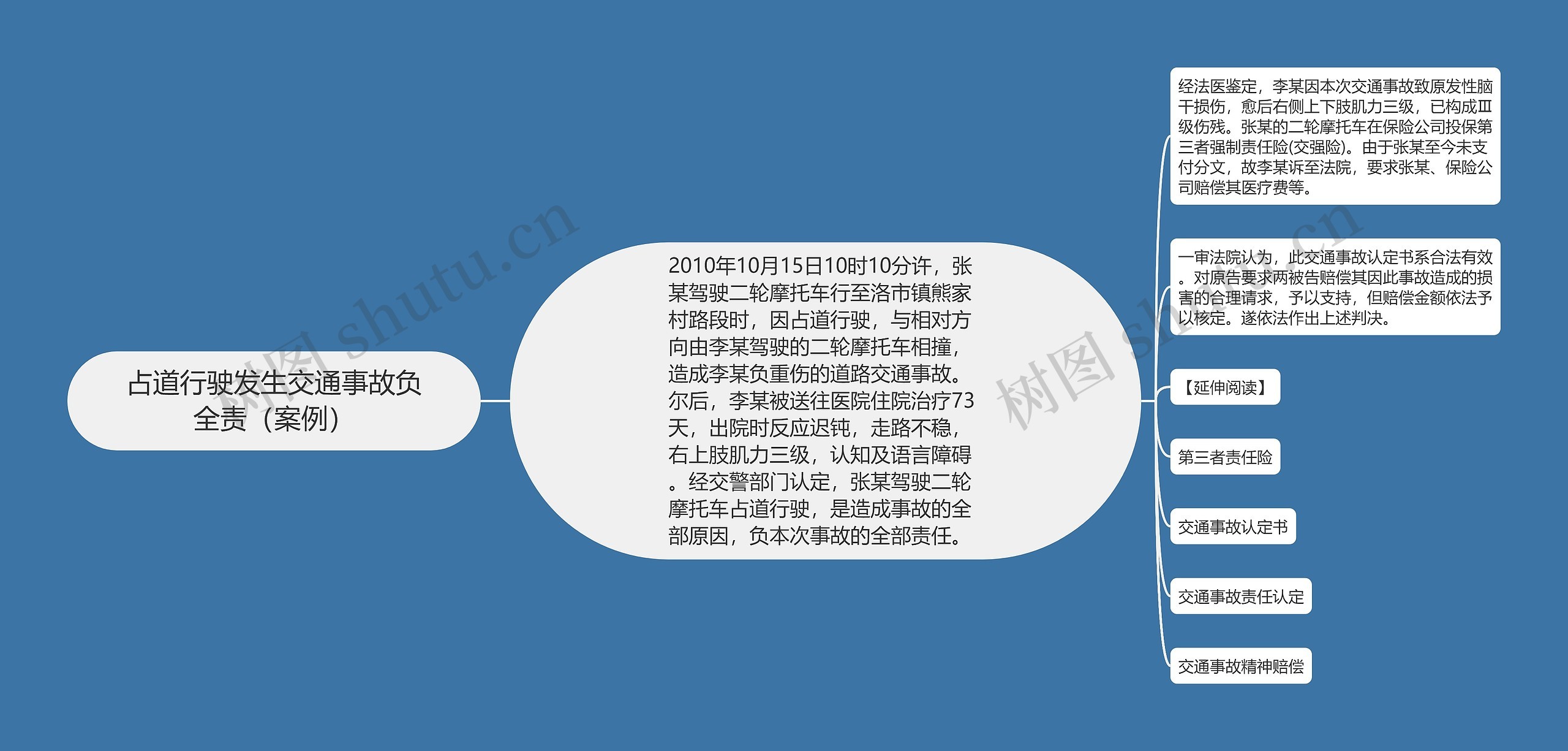 占道行驶发生交通事故负全责（案例）思维导图