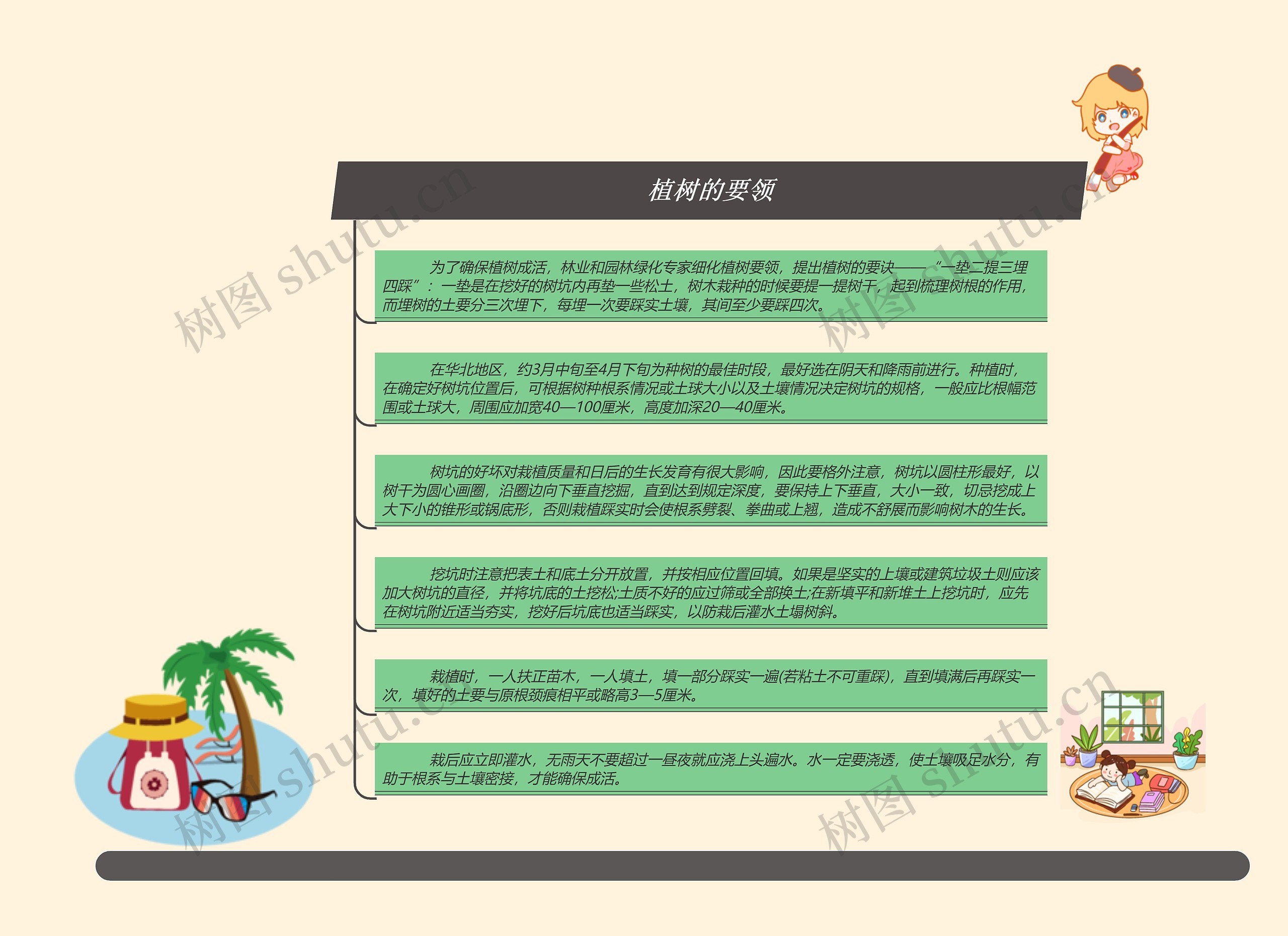 植树的要领思维导图