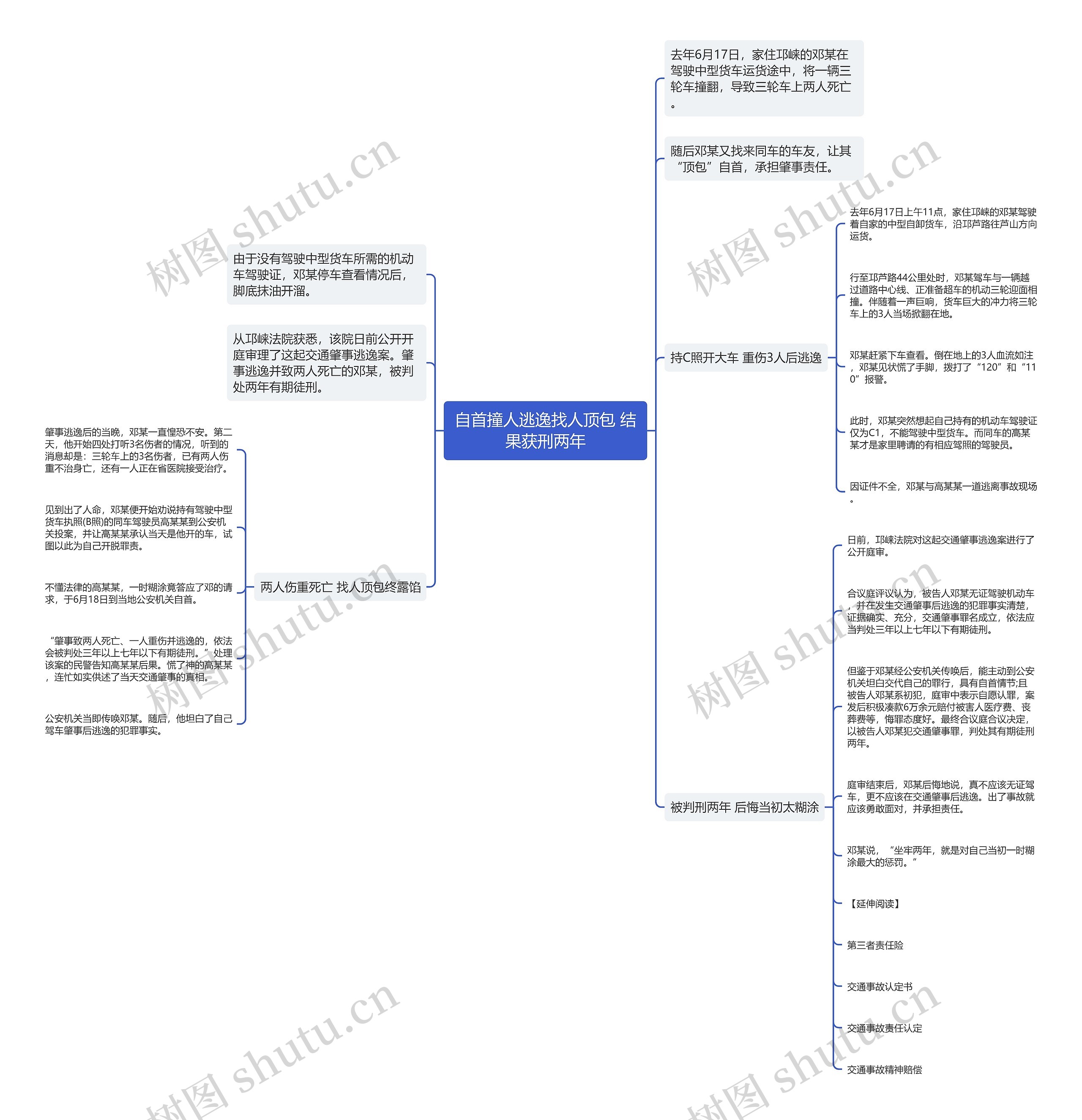 自首撞人逃逸找人顶包 结果获刑两年思维导图