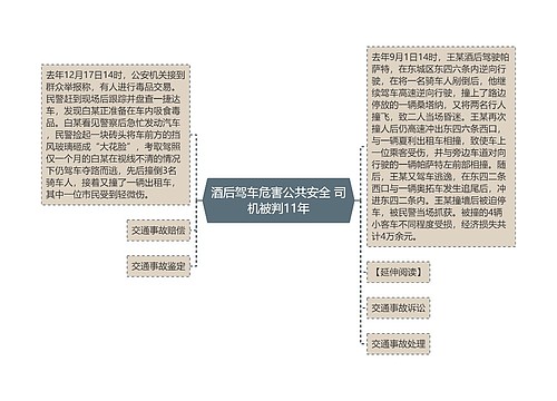 酒后驾车危害公共安全 司机被判11年