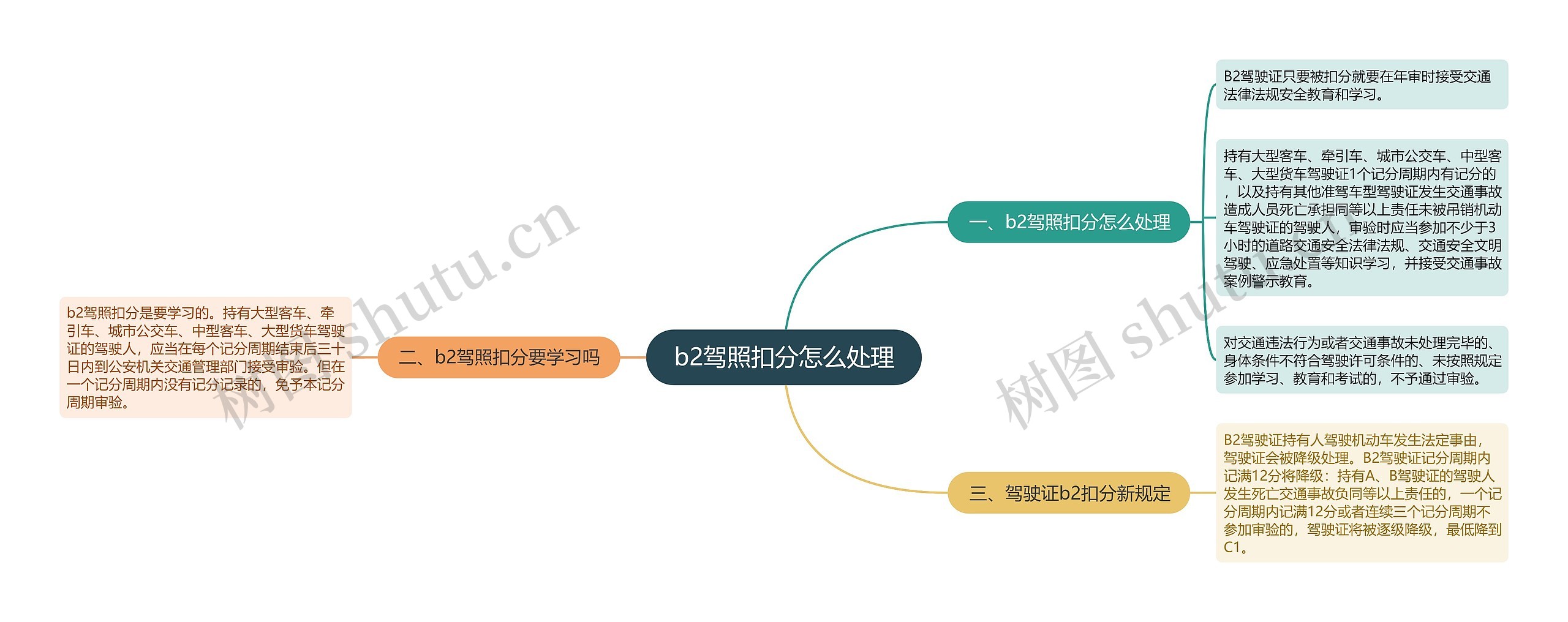 b2驾照扣分怎么处理思维导图