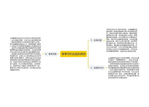 肇事司机逃逸的原因