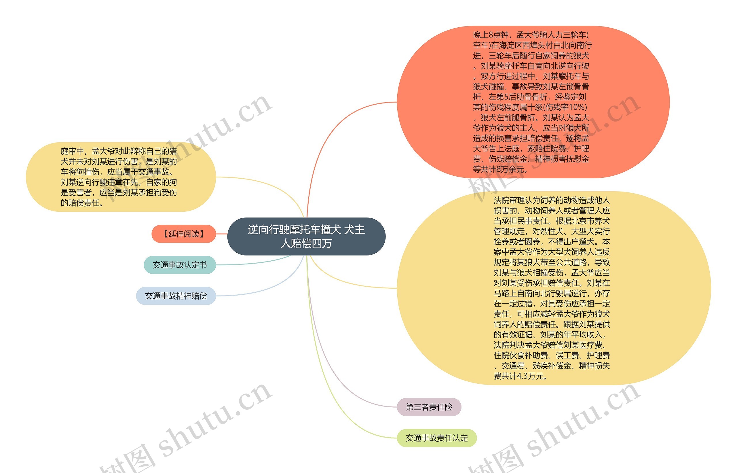 逆向行驶摩托车撞犬 犬主人赔偿四万