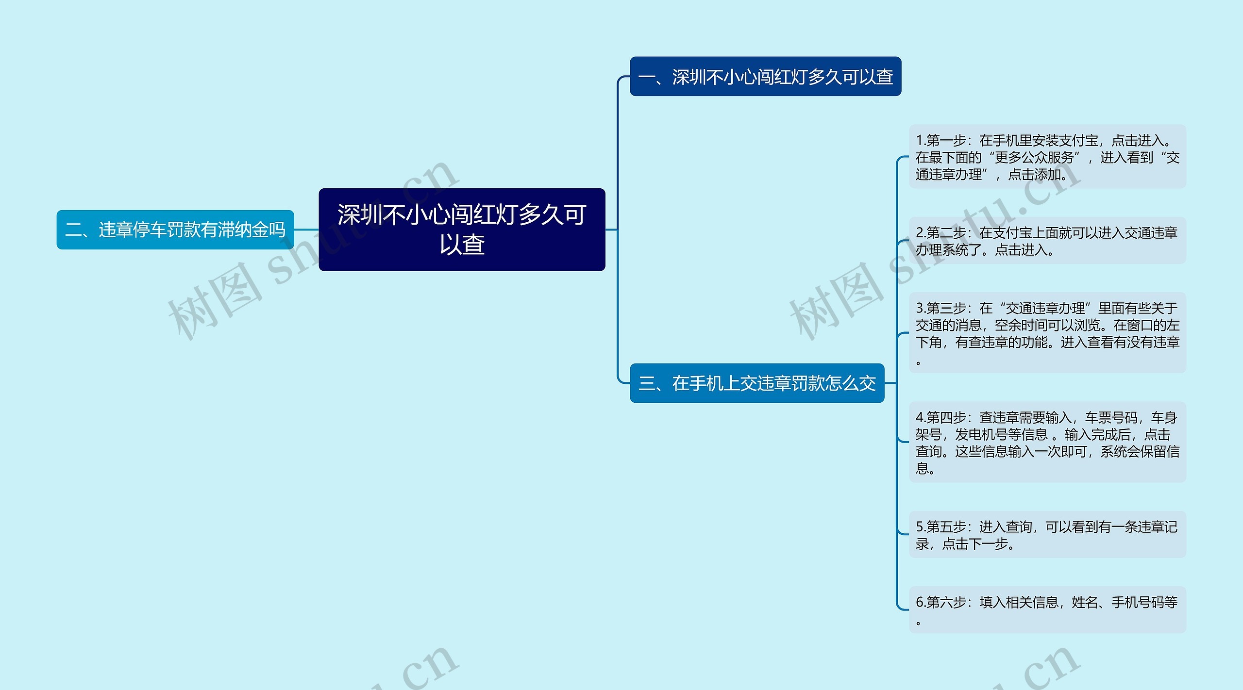 深圳不小心闯红灯多久可以查