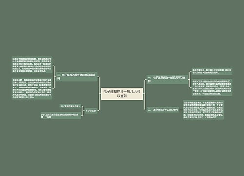 电子违章抓拍一般几天可以查到