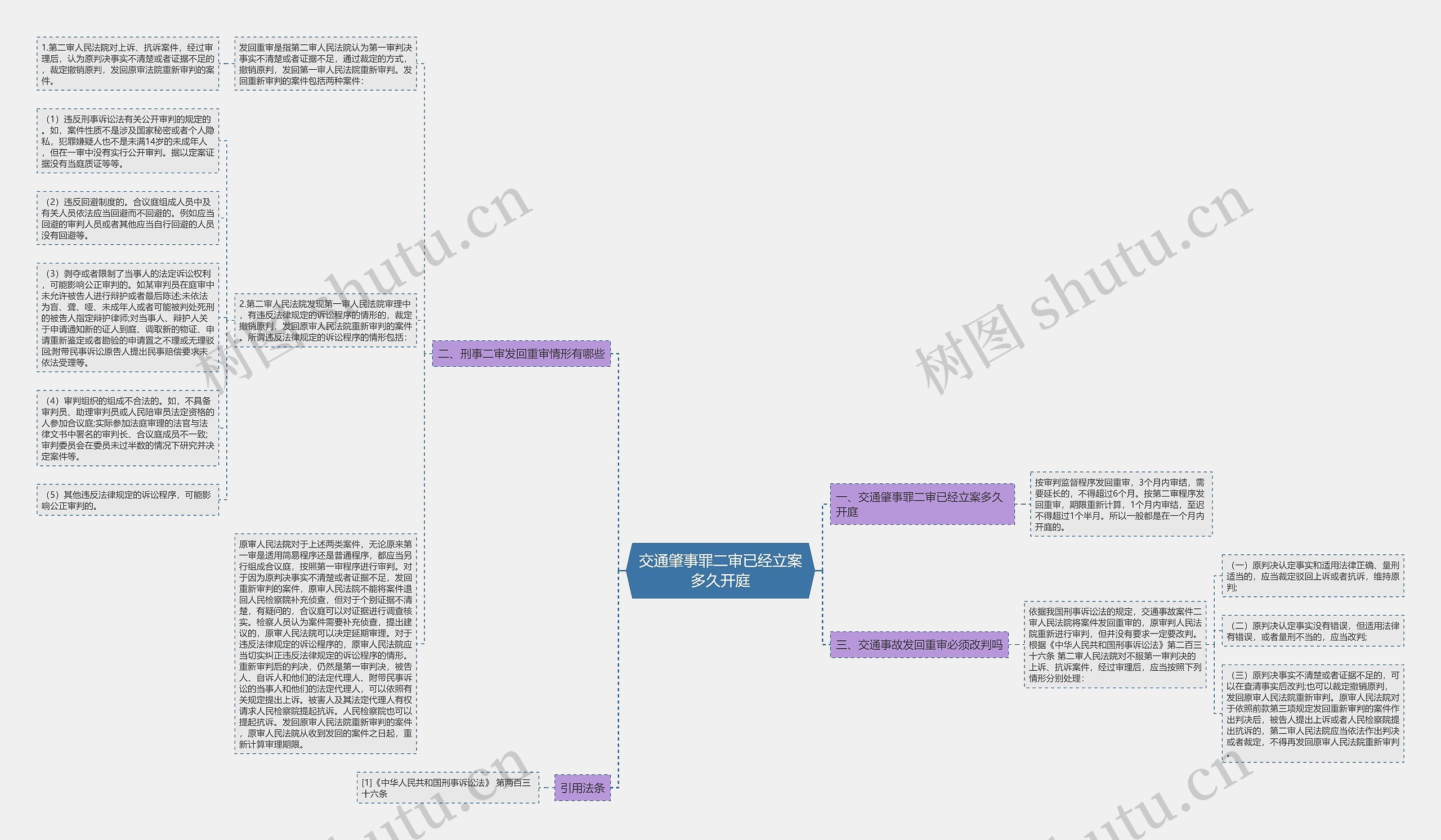 交通肇事罪二审已经立案多久开庭思维导图