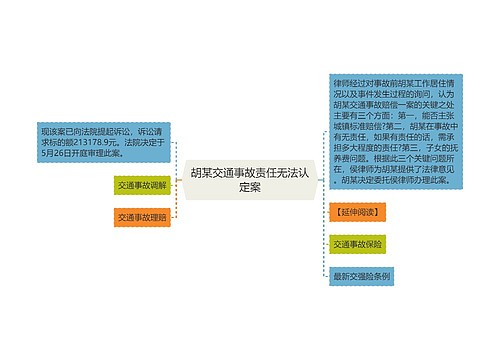 胡某交通事故责任无法认定案