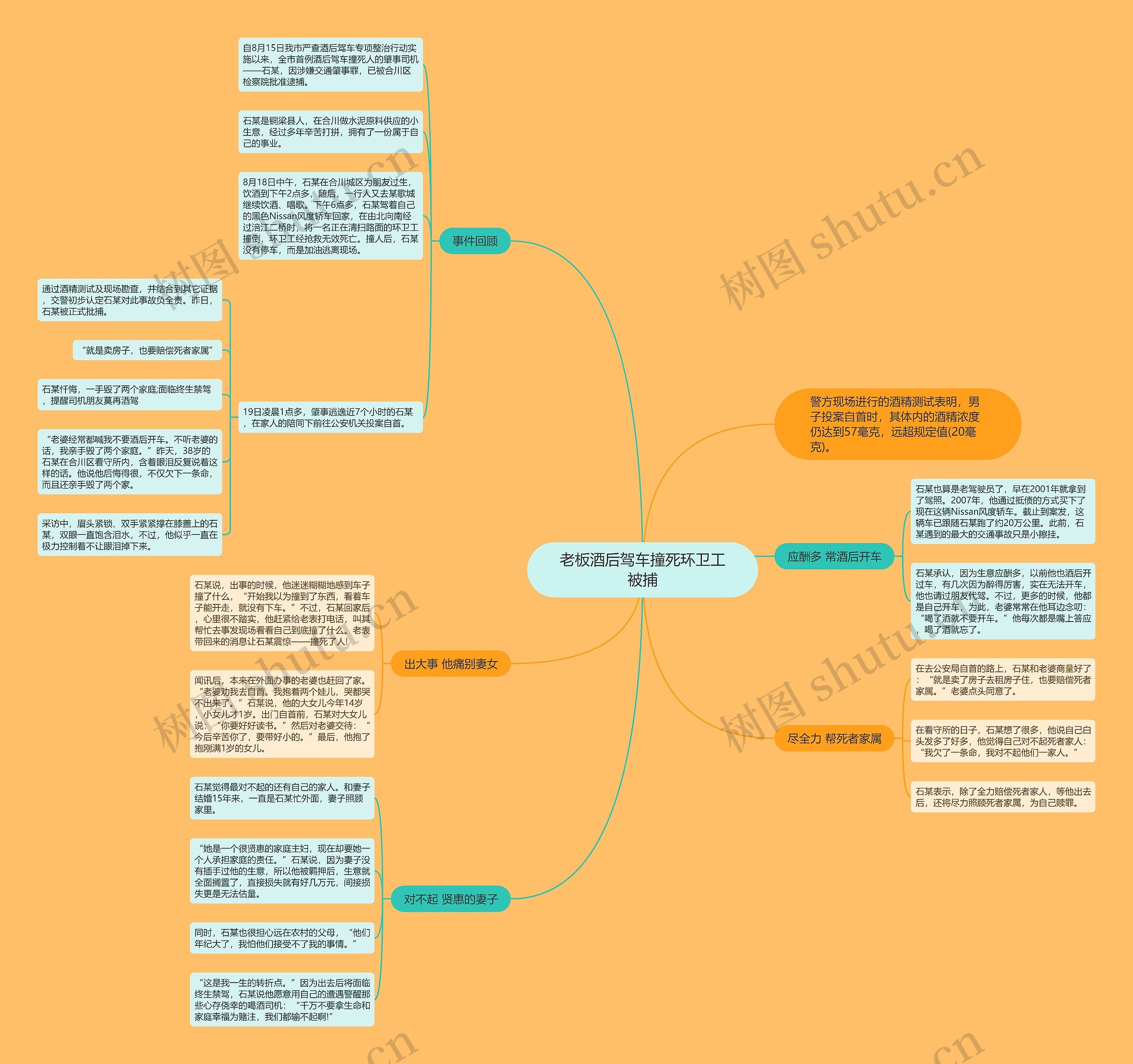 老板酒后驾车撞死环卫工被捕思维导图