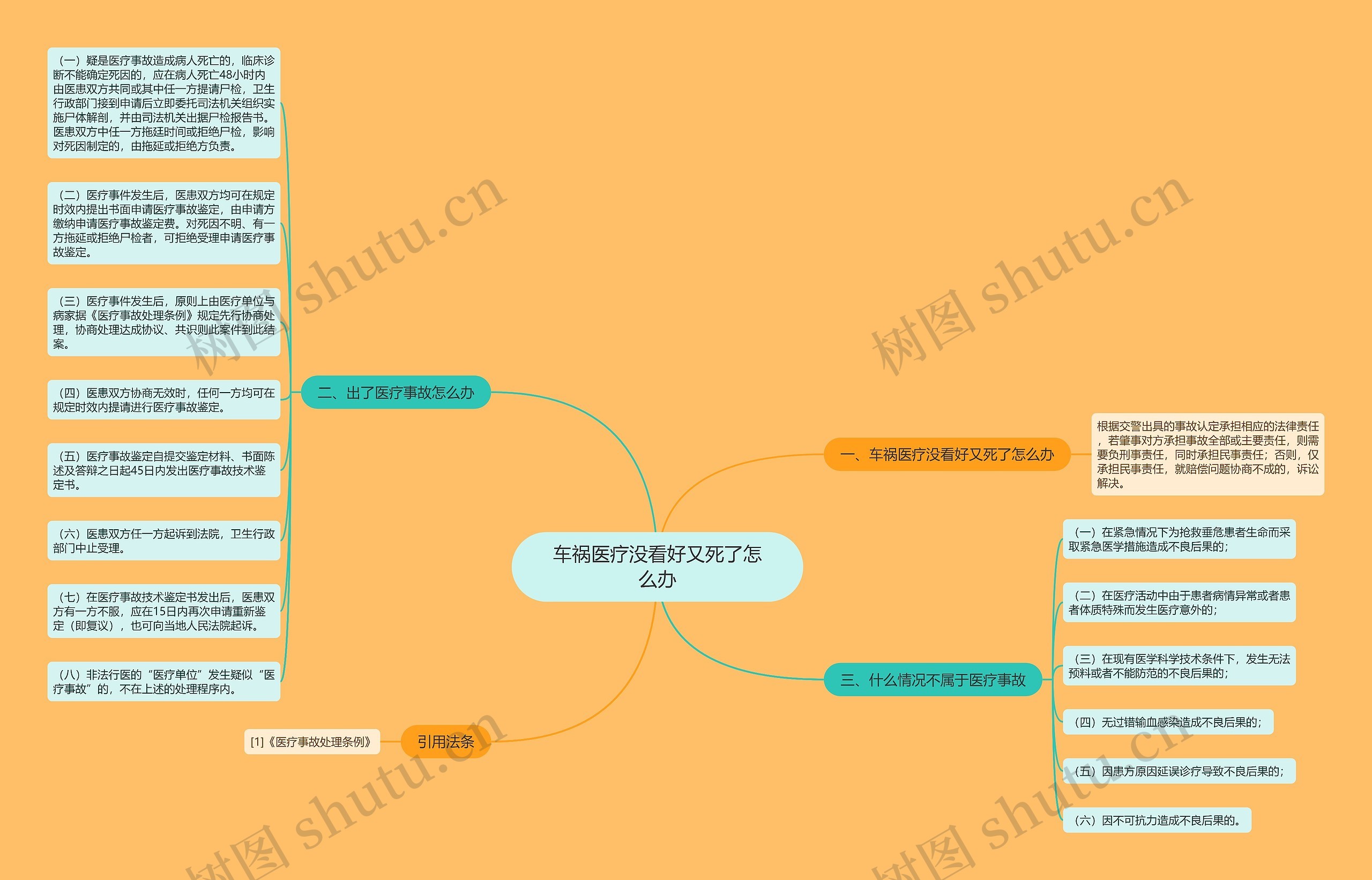 车祸医疗没看好又死了怎么办思维导图