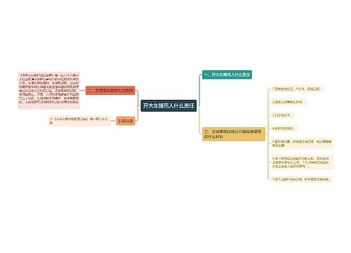 开大车撞死人什么责任