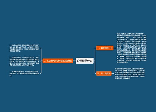 公开债是什么