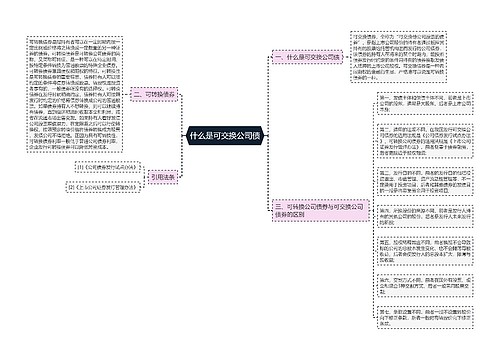 什么是可交换公司债