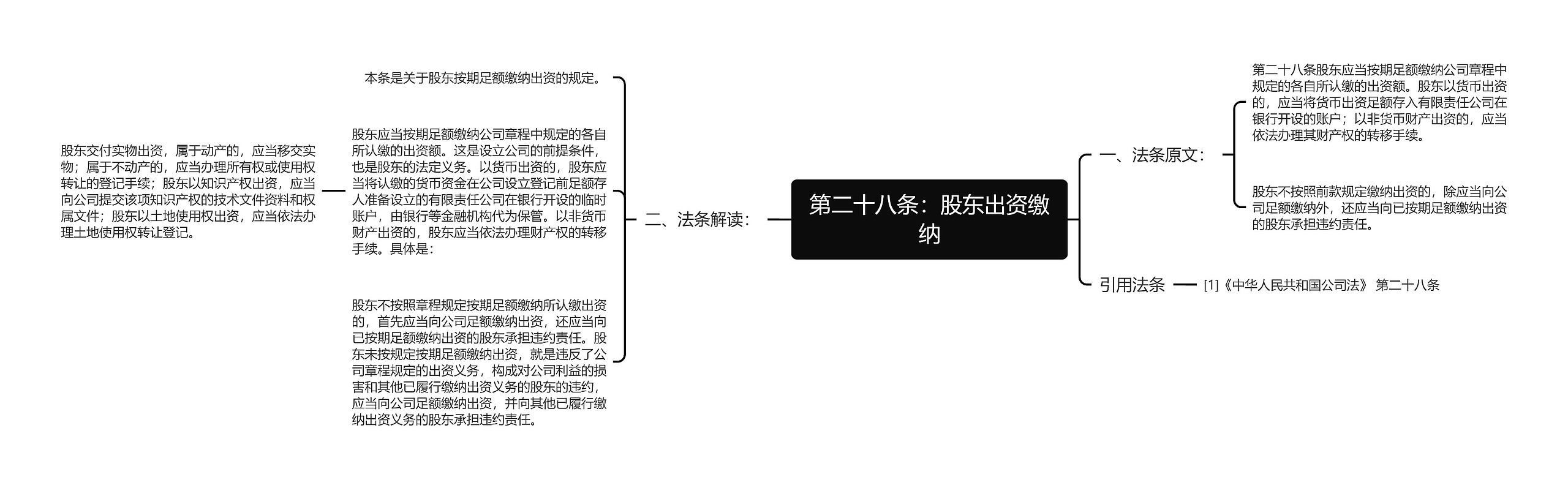 第二十八条：股东出资缴纳