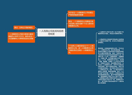 一人有限公司及其风险防范制度