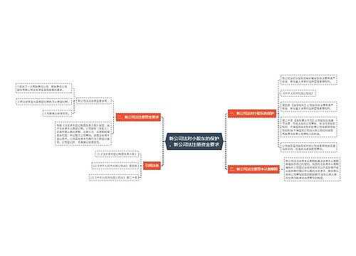 新公司法对小股东的保护，新公司法注册资金要求