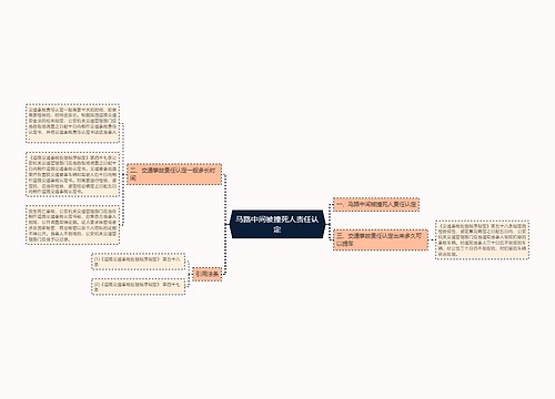 马路中间被撞死人责任认定