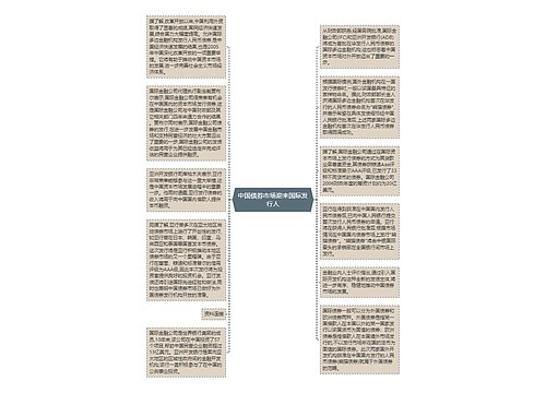 中国债券市场迎来国际发行人