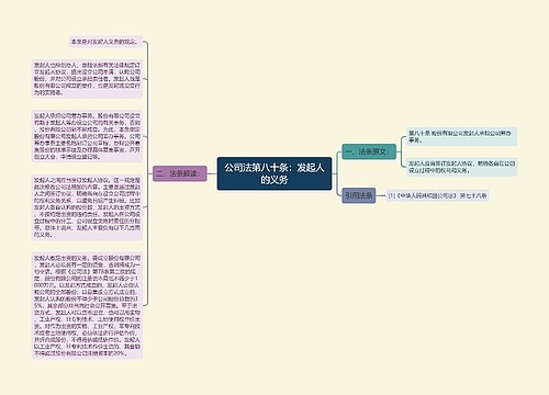 公司法第八十条：发起人的义务