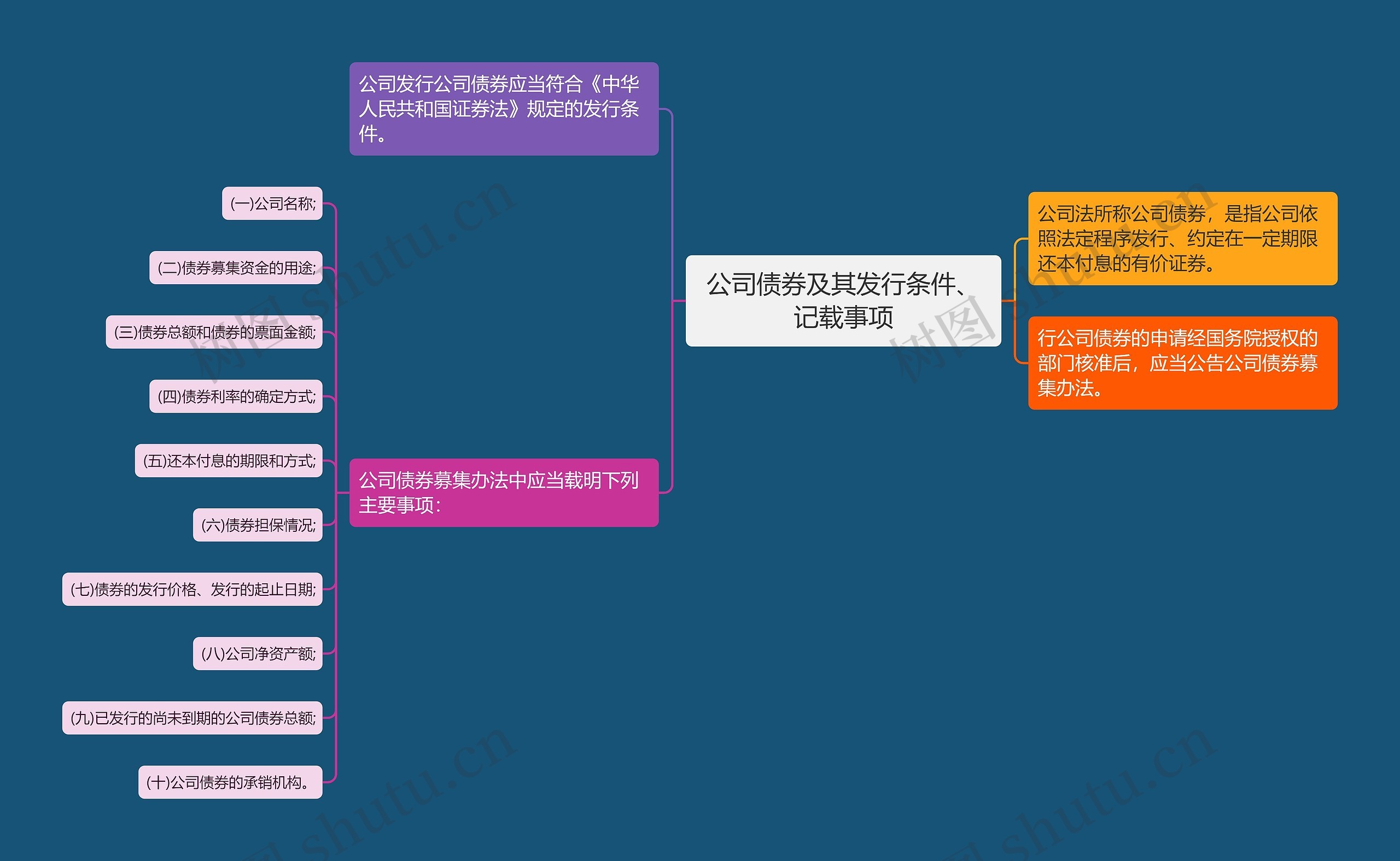 公司债券及其发行条件、记载事项