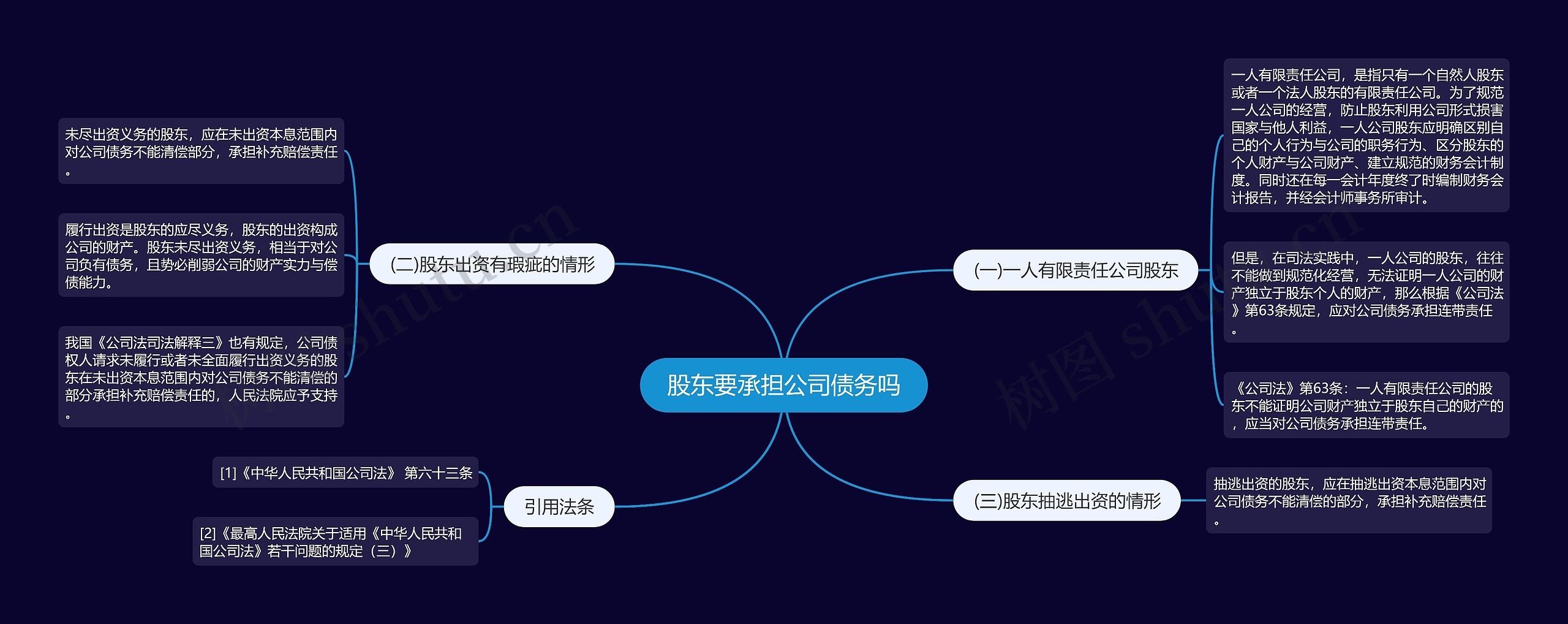 股东要承担公司债务吗思维导图