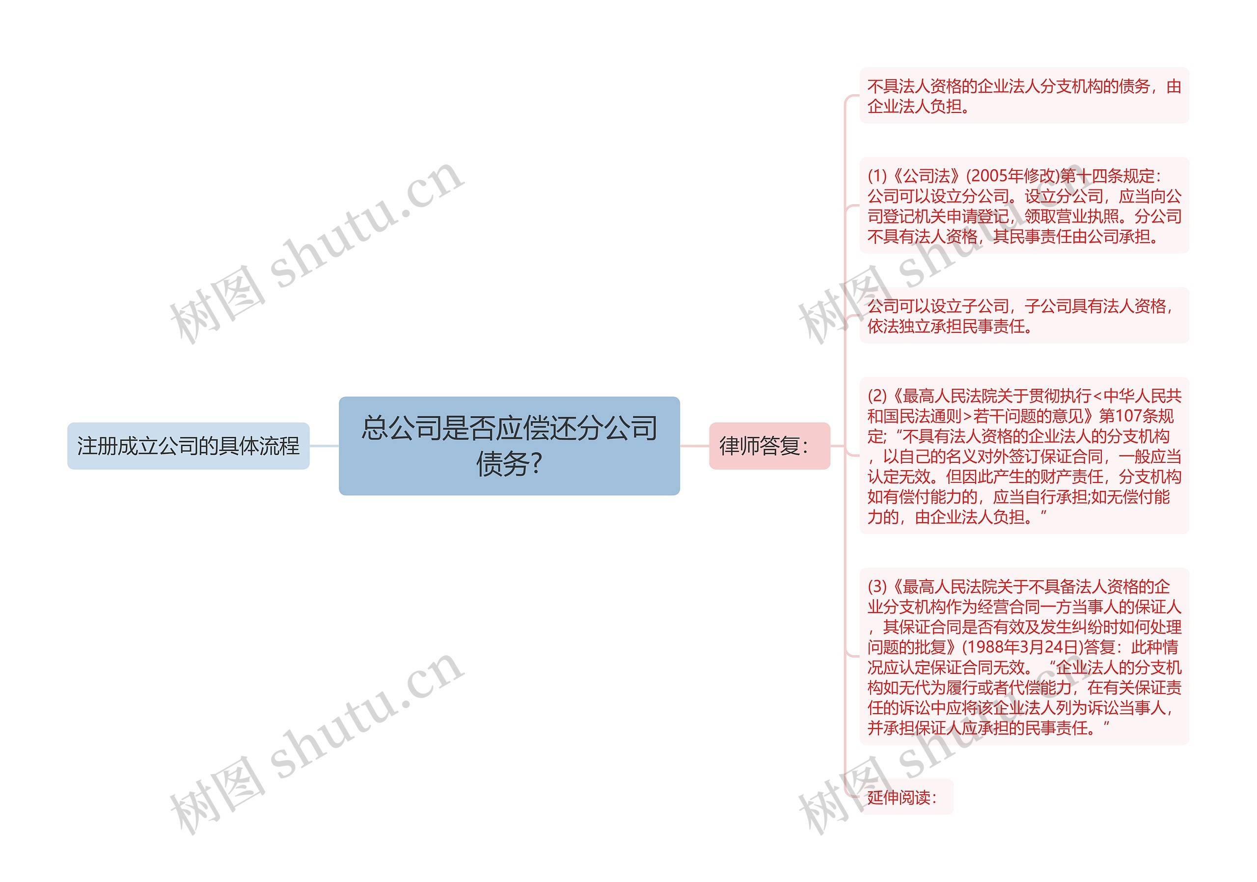 总公司是否应偿还分公司债务?思维导图