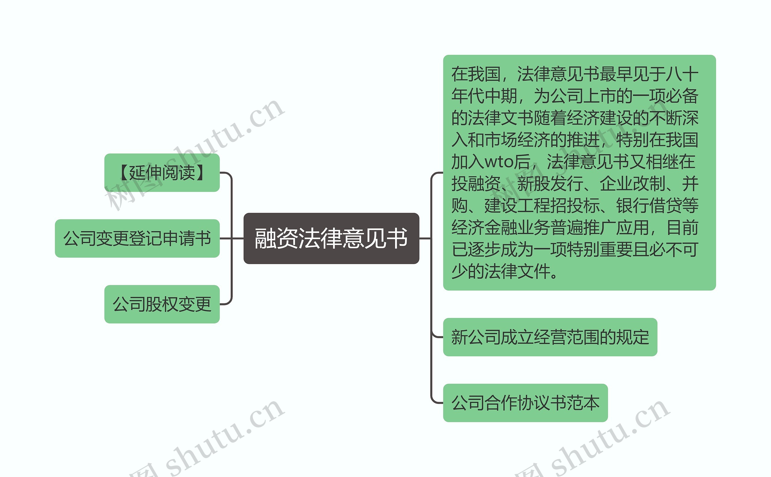 融资法律意见书思维导图