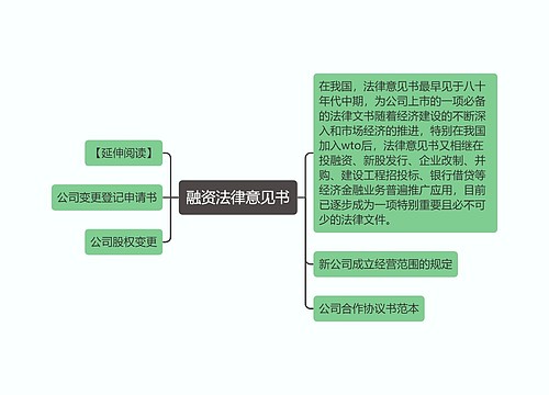 融资法律意见书