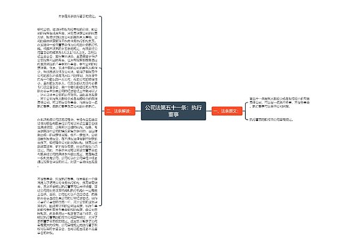 公司法第五十一条：执行董事