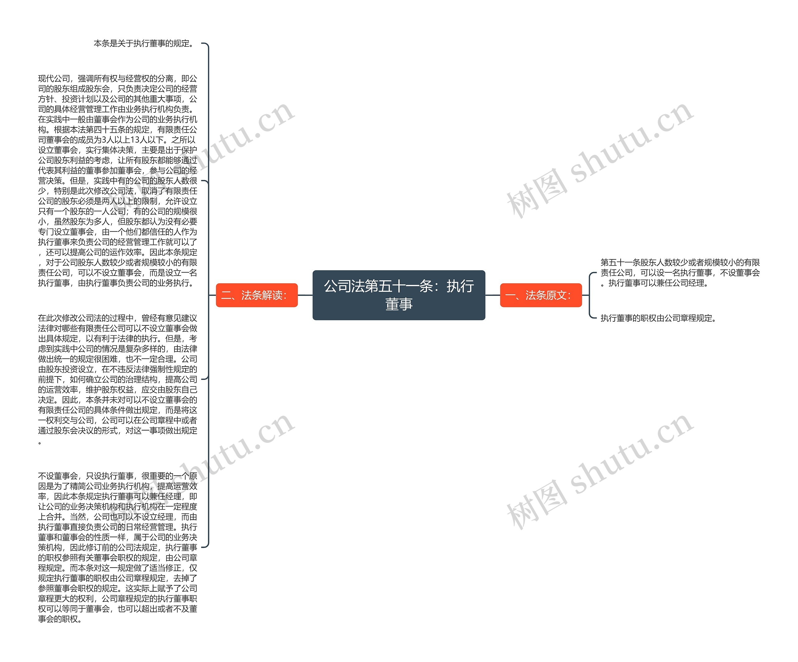 公司法第五十一条：执行董事思维导图