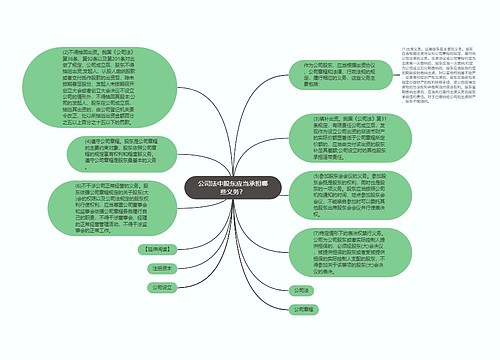 公司法中股东应当承担哪些义务？