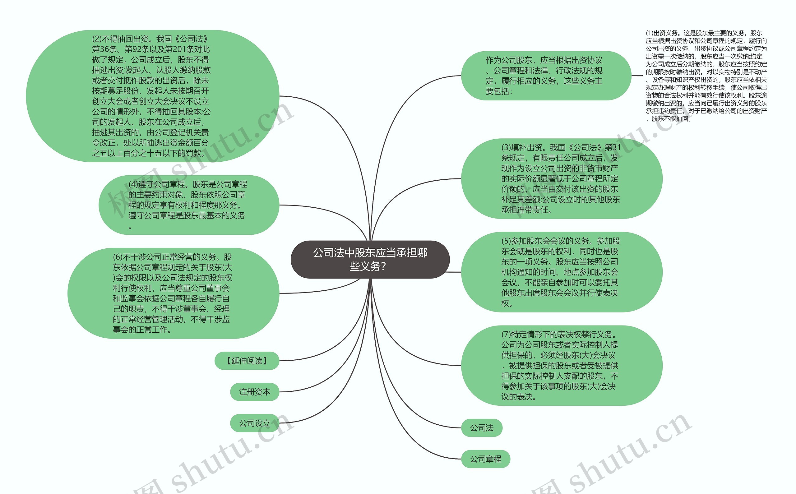 公司法中股东应当承担哪些义务？