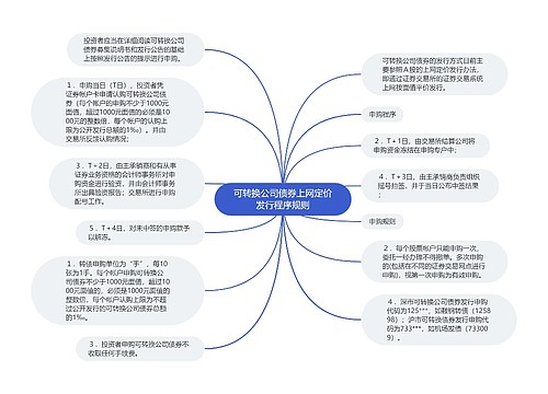 可转换公司债券上网定价发行程序规则