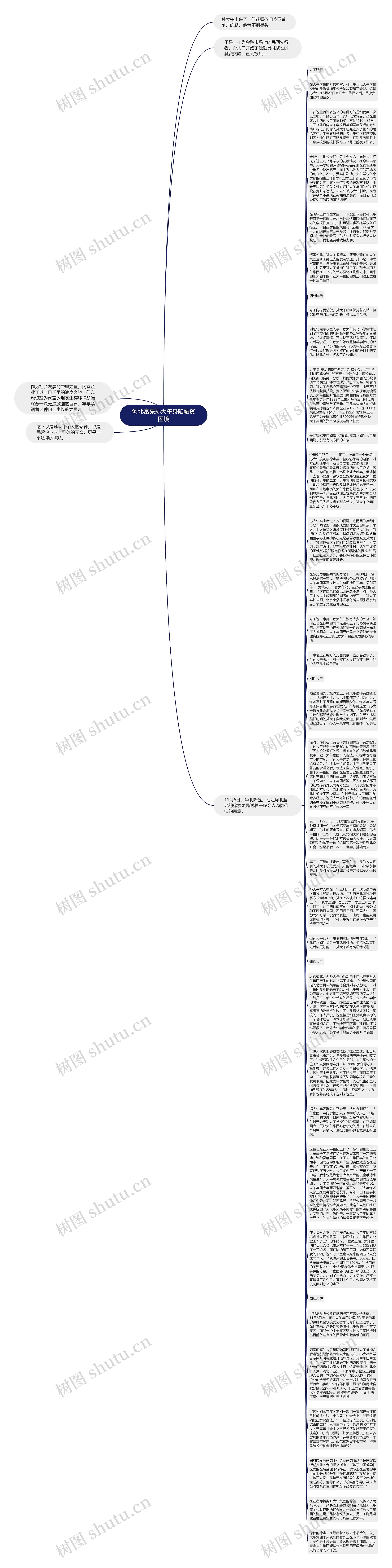 河北富豪孙大午身陷融资困境思维导图