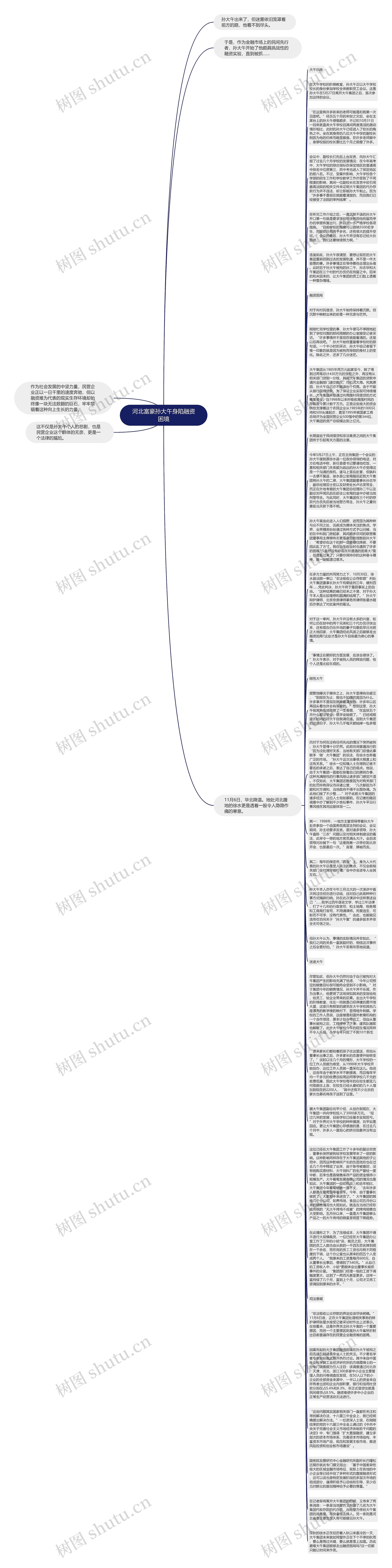 河北富豪孙大午身陷融资困境思维导图高清图 河北富豪孙大午身陷融资困境思维导图
