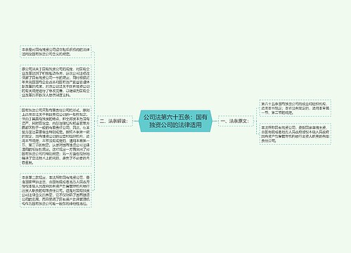 公司法第六十五条：国有独资公司的法律适用