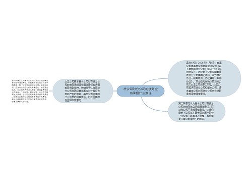 总公司对分公司的债务应当承担什么责任