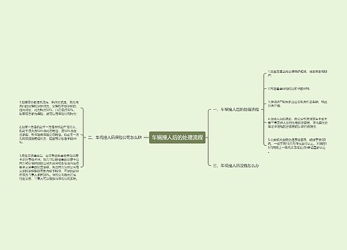 车祸撞人后的处理流程