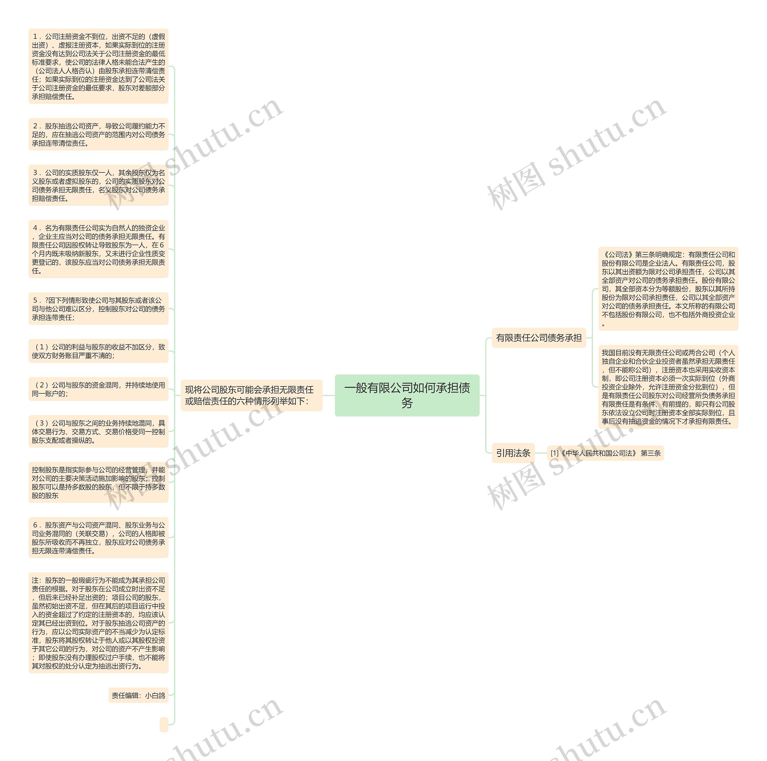 一般有限公司如何承担债务思维导图