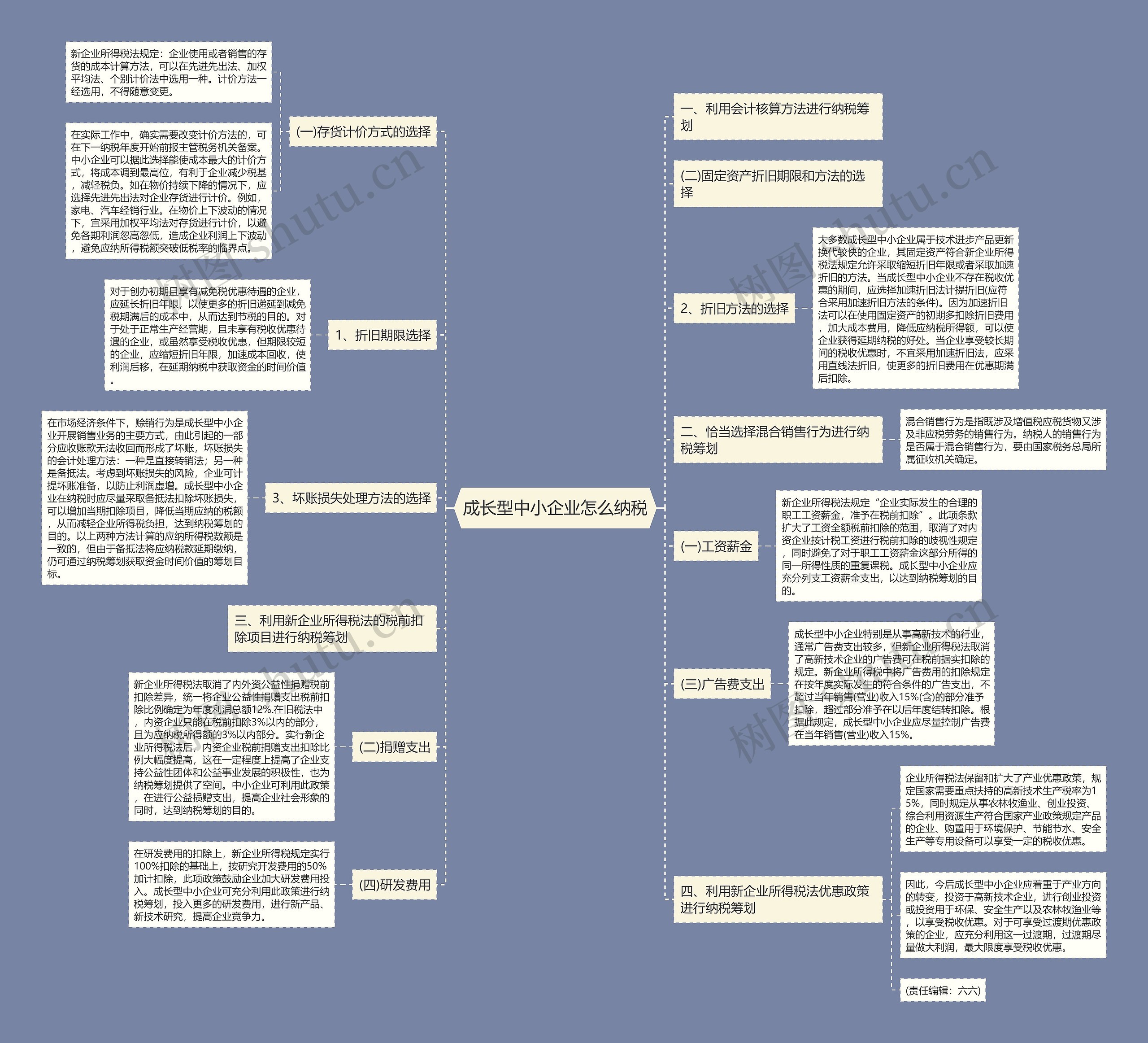 成长型中小企业怎么纳税 成长型中小企业怎么纳税