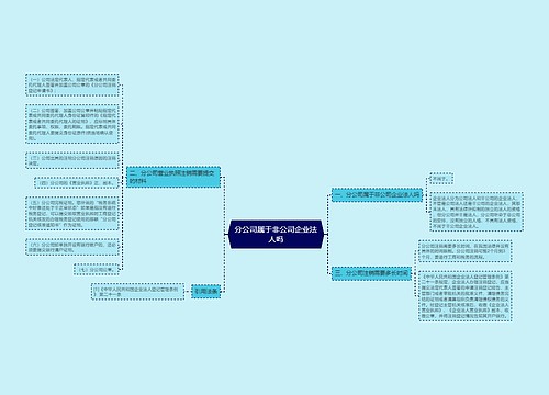 分公司属于非公司企业法人吗