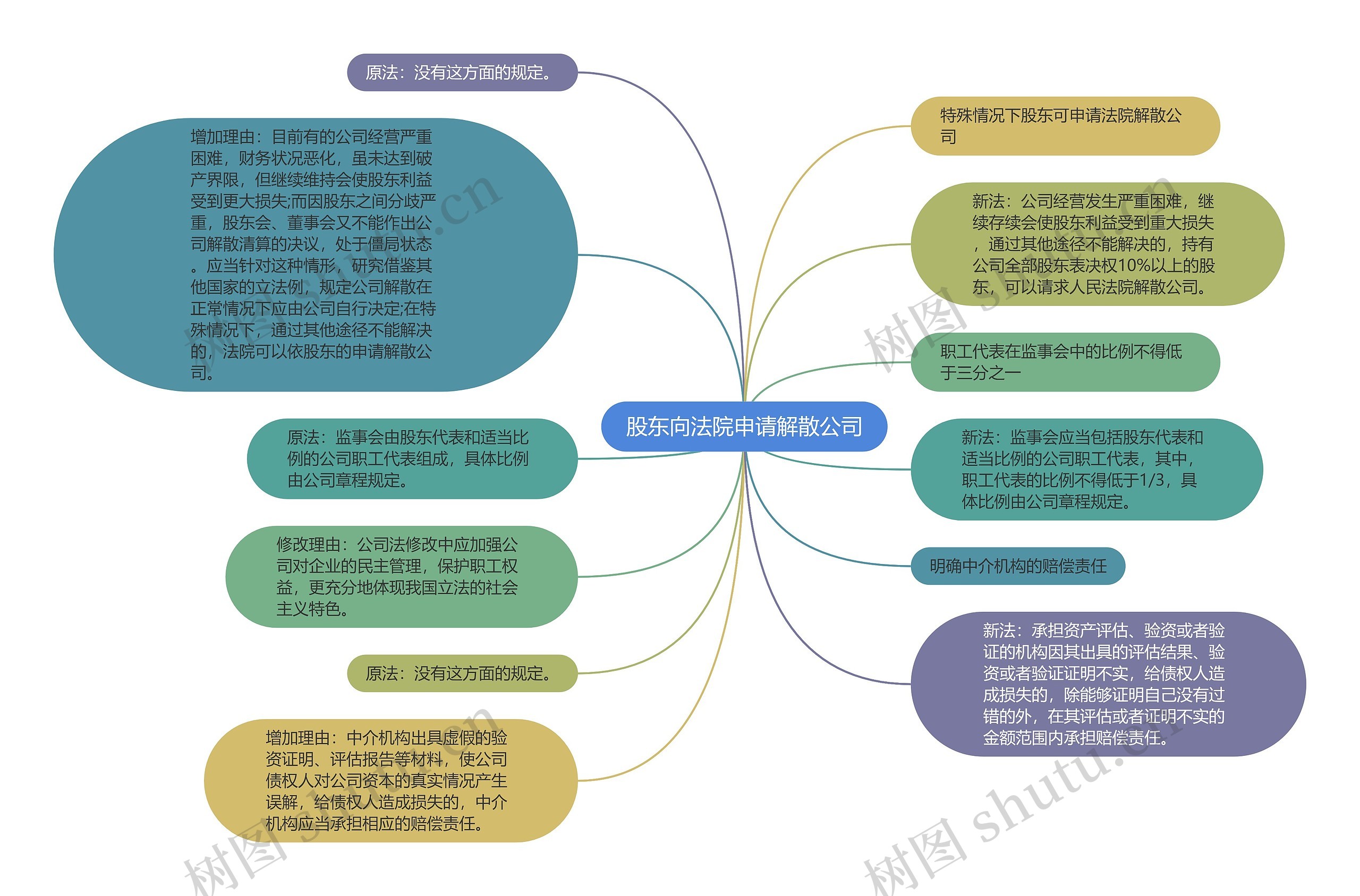 股东向法院申请解散公司思维导图