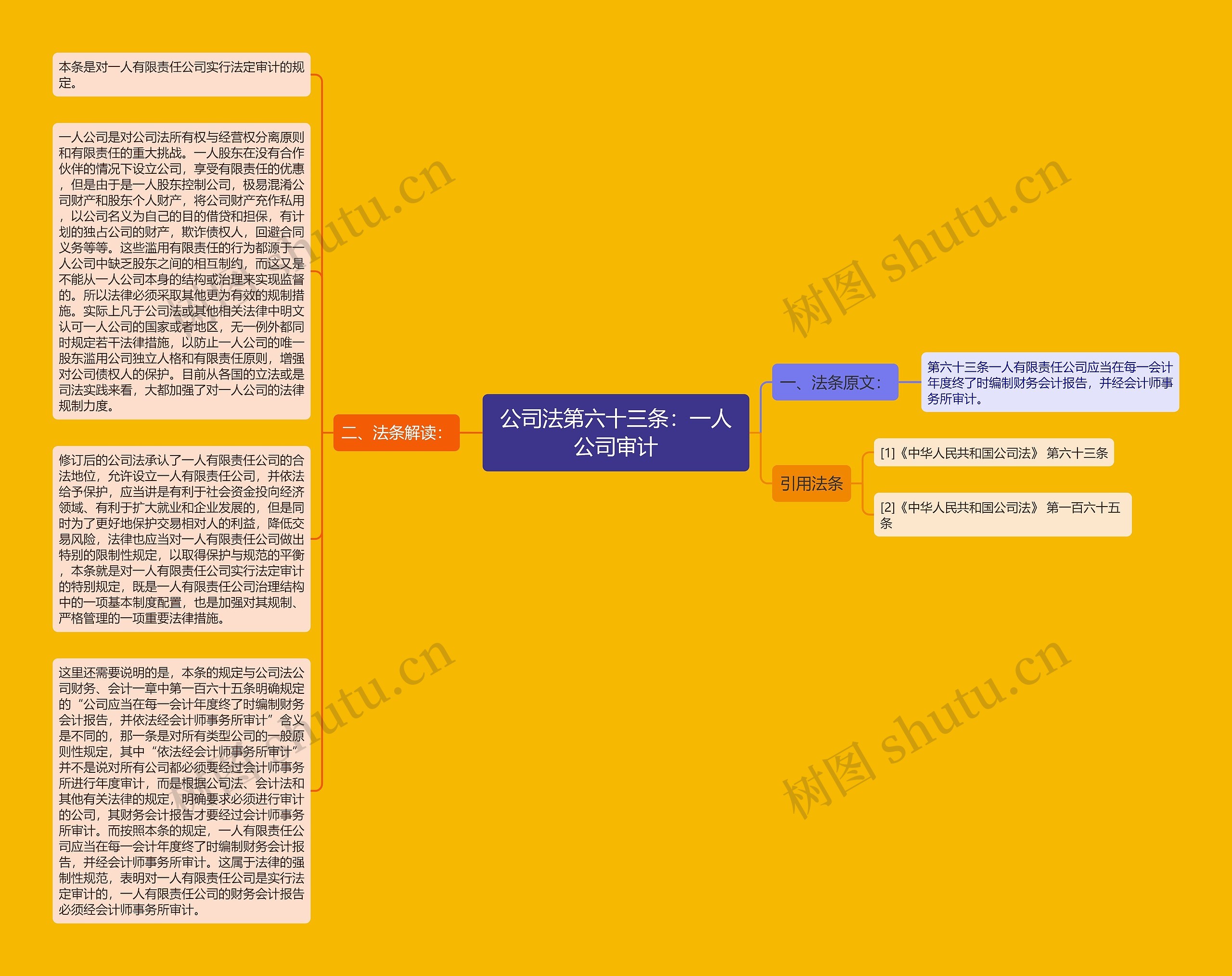 公司法第六十三条：一人公司审计思维导图