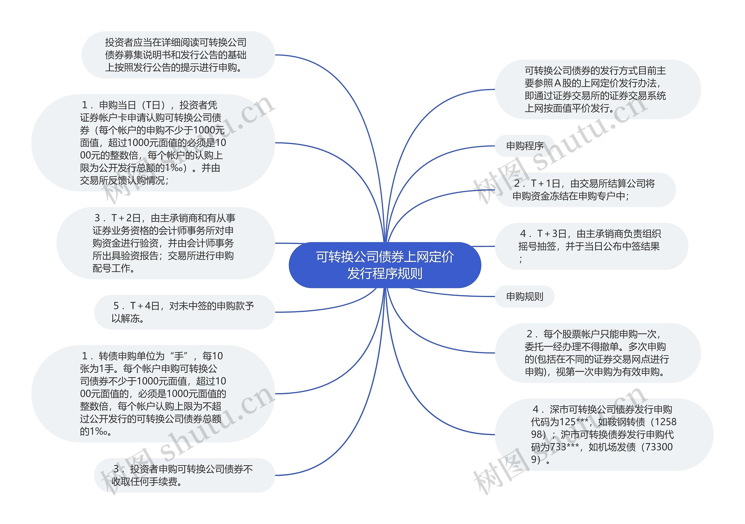 可转换公司债券上网定价发行程序规则